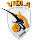 logo_viola